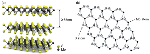 TMD: New Hope in Semiconductor, Potentially Replacing Si